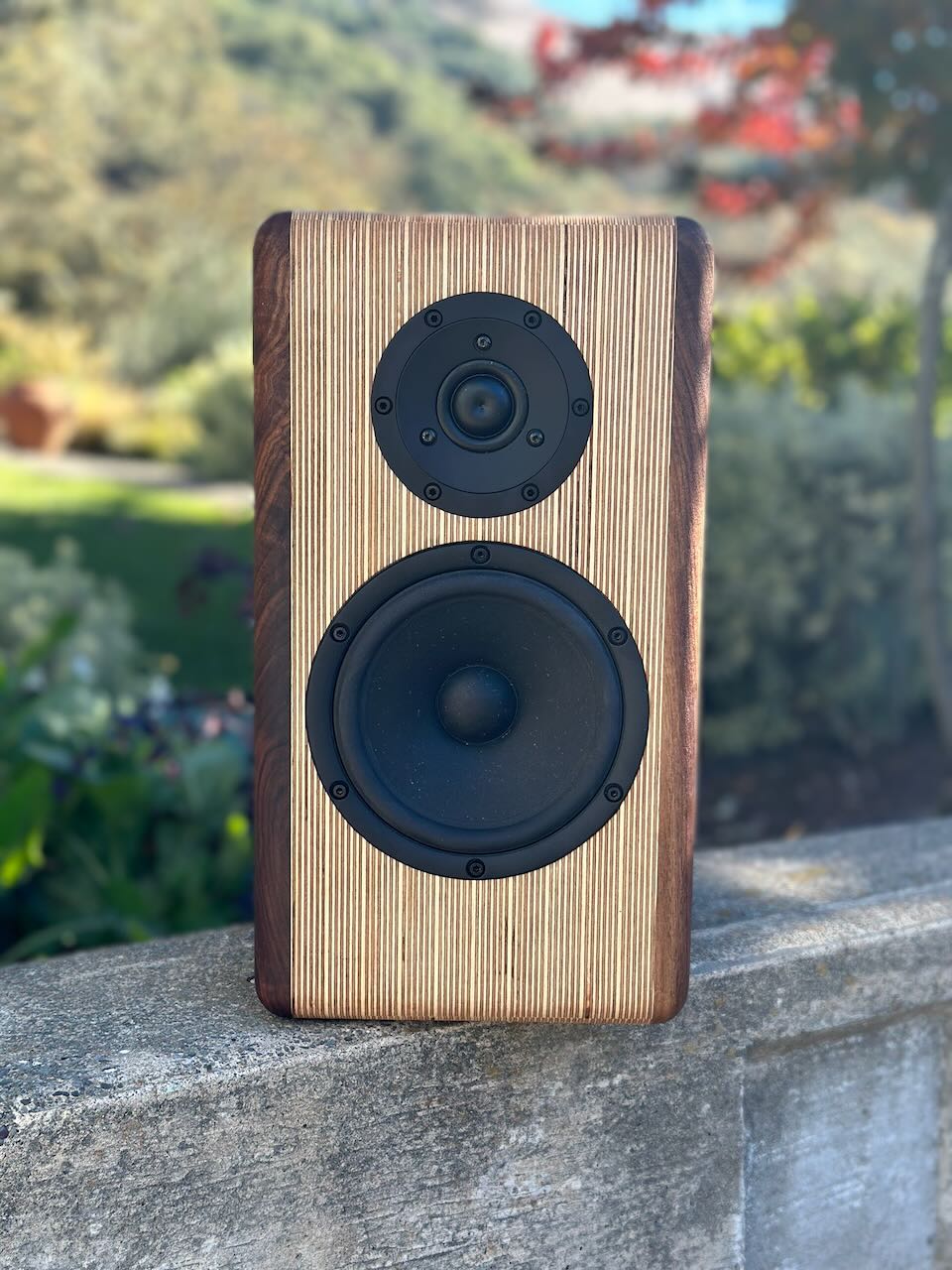 Zed9 woodwork project 6